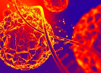 NMN – nicotinamide mononucleotide improved the ability of insulin to increase glucose uptake in skeletal muscle