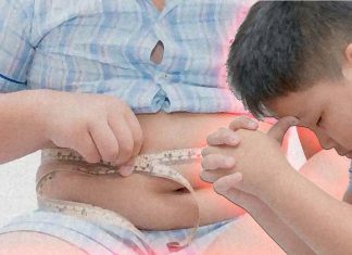Researchers can accurately predict childhood obesity