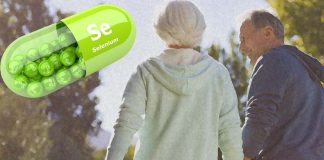 Adding selenium to diet products helps prevent obesity and increases healthy lifespan