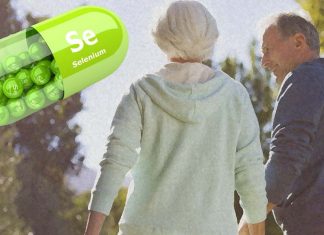 Adding selenium to diet products helps prevent obesity and increases healthy lifespan