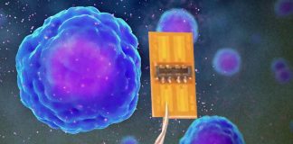 Sweat sensor can acts as an early warning system to alert doctors to looming COVID cytokine storm