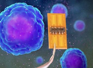 Sweat sensor can acts as an early warning system to alert doctors to looming COVID cytokine storm