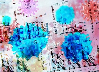 Covid-19: vaccines may protect against SARS-CoV-2 variants without needing to be updated or modified