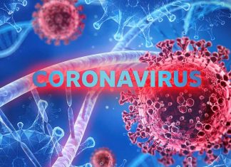 COVID-19: In che modo le varianti sfuggono alla risposta immunitaria?