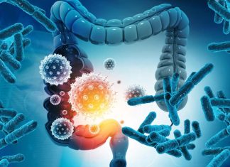 COVID-19: il microbiota intestinale degli individui è un fattore cruciale nell’influenzare la risposta immunitaria alle vaccinazioni