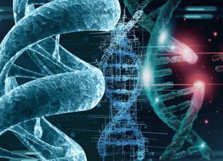 CRISPR genome editing: CRISPECTOR detect adverse translocation events occurring in an editing experiment
