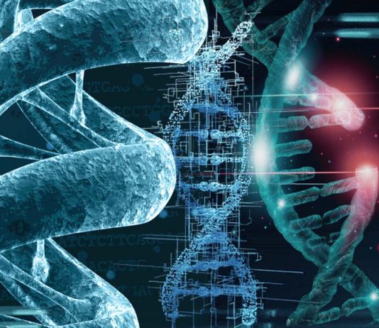 CRISPR genome editing: CRISPECTOR detect adverse translocation events occurring in an editing experiment