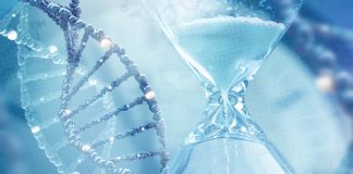 Possiamo ridurre l’età biologica di oltre tre anni in sole otto settimane di dieta che bilancia la metilazione del DNA