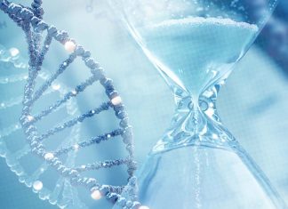 Possiamo ridurre l’età biologica di oltre tre anni in sole otto settimane di dieta che bilancia la metilazione del DNA