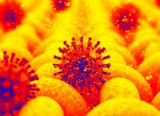 I filtri nanofibrosi possono controllare gli aerosol di coronavirus