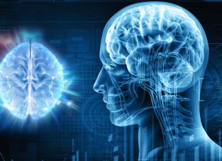 Glucosamine is a major component of brain glycogen
