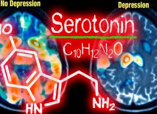 Low levels of serotonin in the brain are seen as a possible cause of depression