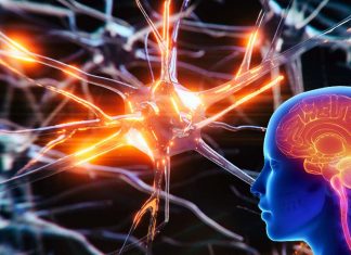 Low serum levels of the sugar N-acetylglucosamine (GlcNAc) is associated with neurodegeneration in multiple sclerosis (MS)