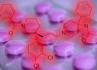 Osanetant drug can have opposite effects on memory according to sexual differences