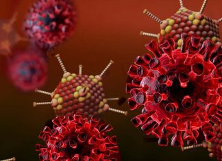 Sistema SHREAD: tecnologia chiave per combattere il cancro e Covid-19