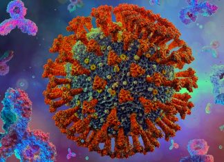 COVID-19: Researchers have developed a highly accurate test that can analyze hundreds of samples at the same time