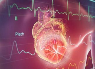 Cyclin D2-cardiomyocyte transplantation may be a potential therapeutic strategy for the repair of infarcted hearts