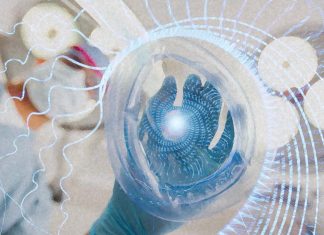 How does the brain restore consciousness and cognition after general anesthesia?