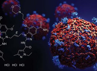 Il farmaco diABZI è altamente efficace nella prevenzione del COVID-19 grave