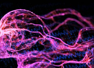 Neddylation can prevent epilepsy