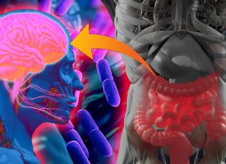 COVID-19: la sindrome dell’intestino irritabile (IBS) ha una connessione con fattori psicosociali
