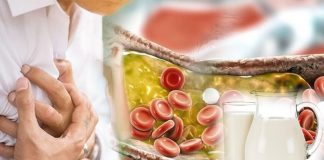 Regular consumption of milk is not associated with increased levels of cholesterol