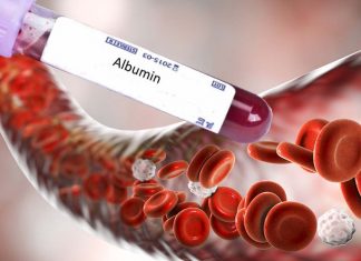 Albumin (Alb) in blood is instrumental in enabling human fertilization and fighting infection