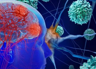 Post-mortem studies of COVID-19 patients revealed significant signs of neuroinflammation