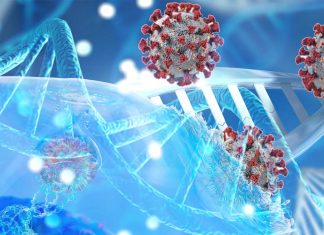 La metodologia GWAS può identificare varianti altamente patogene del COVID-19