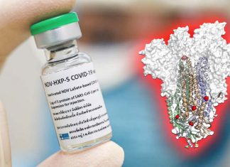 Il vaccino Hexapro fornisce protezione contro la malattia COVID-19 con patch per microarray ad alta densità (HD-MAP) in un solo clic senza dolore