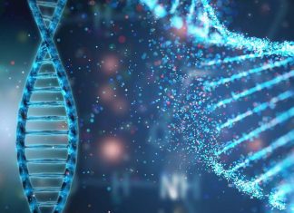RApid DIgital Crispr Approach (RADICA): new method for rapid detection of viruses