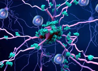 I farmaci senolitici riducono significativamente la morte per COVID-19 tra gli anziani