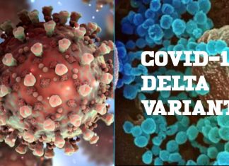 COVID-19: si stima che la variante Delta sia il 40% più trasmissibile rispetto all’ultima ondata di infezioni nel Regno Unito