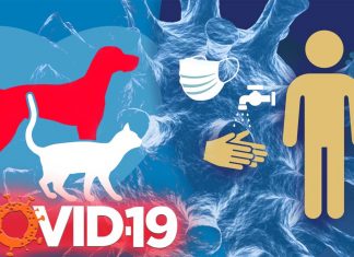 Infezione da SARS-CoV-2 in cani e gatti di esseri umani con diagnosi di COVID-19
