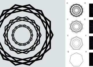 A new class of illusion underscores the highly constructive nature of visual perception