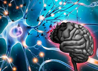 The molecule called TET1 can rejuvenate the aging brain in healthy individuals
