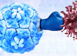 Il rinovirus del raffreddore comune combatte il COVID-19