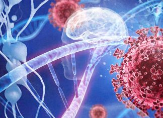 COVID-19 might raise the risk of Alzheimer’s