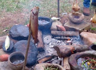 Cooking with wood or coal increase risk of major eye diseases