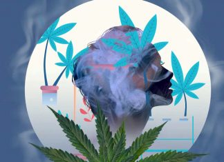 High potency cannabis creates memory problems related to free recall, source memory and false memories