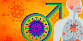 The Changing Role of Testosterone in the Maturation of Social-Emotional Behavior