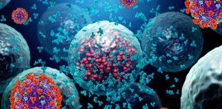 SARS-CoV-2: T cell vaccine could offer protection against new variants of and SARS-like coronaviruses
