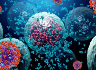 SARS-CoV-2: T cell vaccine could offer protection against new variants of and SARS-like coronaviruses