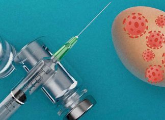 Vaccines grown in eggs induce an antibody response against a glycan associated with the egg and not the virus