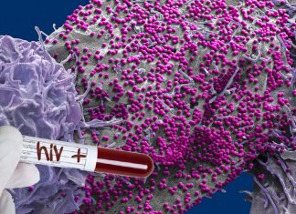 Vesatolimod a knockout punch to HIV
