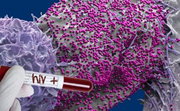 Vesatolimod a knockout punch to HIV