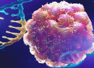 Cancer: new strategy for treating the most aggressive and untreatable forms of the disease