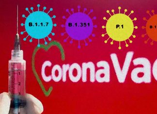 COVID-19: CoronaVac jab è meno efficace contro la variante Gamma