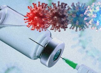 Nei vaccini Moderna e Pfizer-BioNTech le cellule T prime possono riconoscere forme mutate SARS-CoV-2