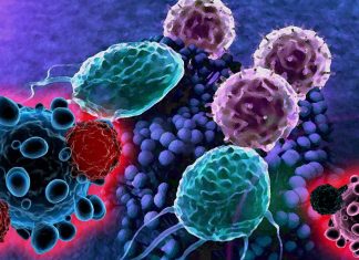 ACE inhibitors reduces the ability to fight off bacterial infections